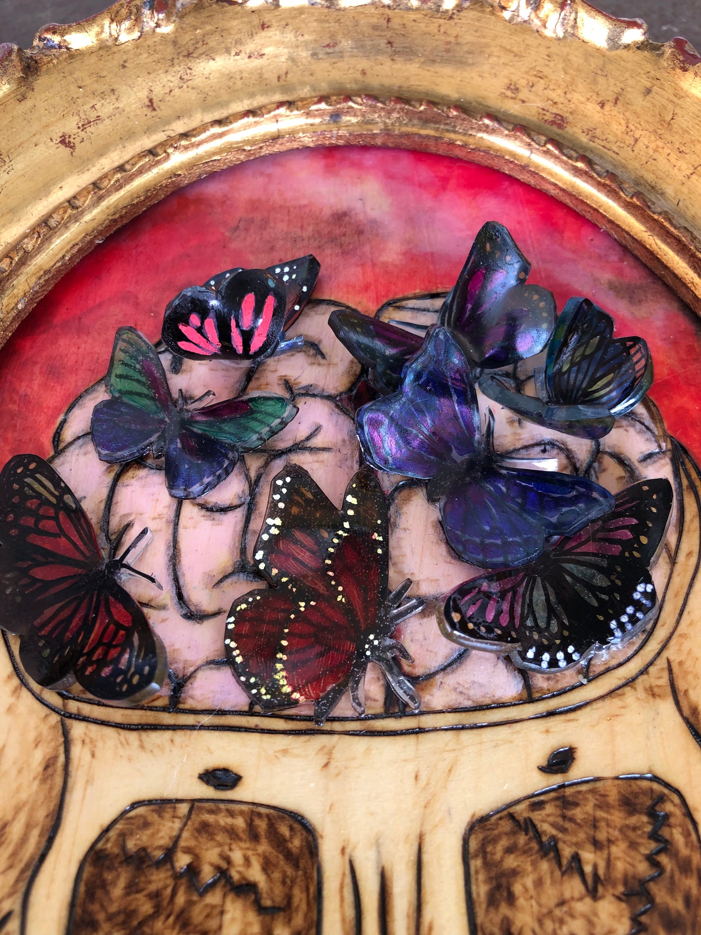 Butterflies on the brain